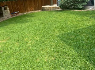 Luke Z.'s lawn care service result