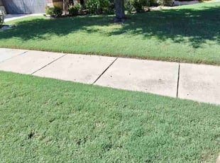 Jill G.'s lawn service service result