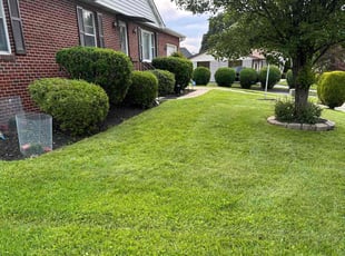 Jake W.'s turf maintenance service result