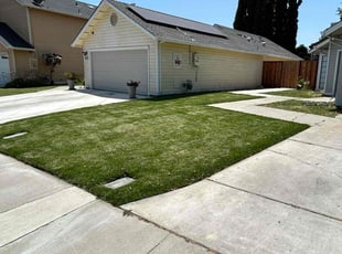 Tommy M.'s turf maintenance service result