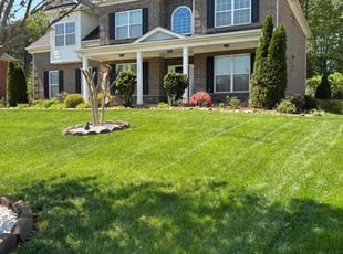 Joshua H.'s lawn care service result