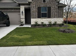 Yiesenia M.'s lawn service service result