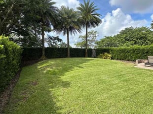 Ryan J.'s turf care service result