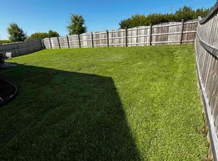 Lisa L.'s lawn care service result