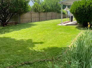 Shivali S.'s lawn maintenance service result