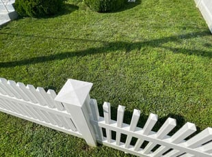 BLANCA L.'s lawn care services service result
