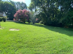 Jay Y.'s turf maintenance service result