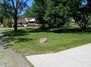 Diann J.'s turf care service result