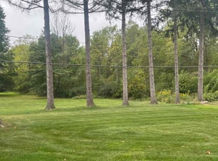 Jude L.'s lawn service service result