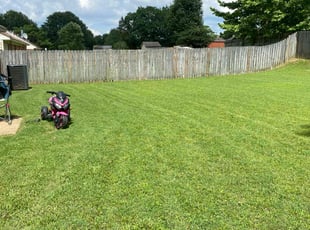 Chris D.'s lawn service service result