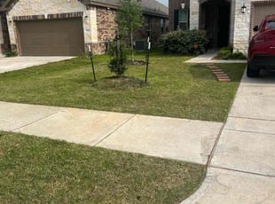 Sidney W.'s grass cutting service result