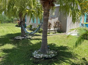 Beth P.'s lawn care services service result