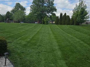 Sara N.'s grass cutting service result