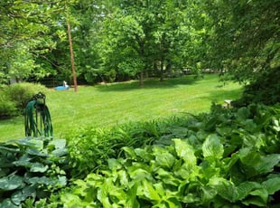 Gabriel G.'s grass cutting service result