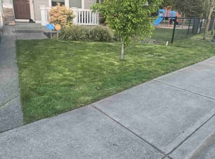 Deborah B.'s turf maintenance service result