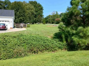 Lorena B.'s turf care service result