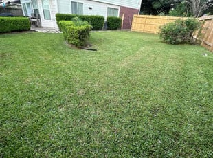 Vonderic S.'s grass cutting service result