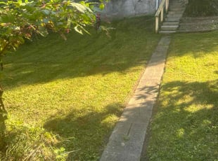 Steve W.'s lawn maintenance service result