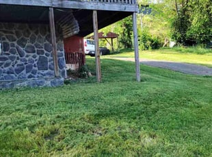 Crystal M.'s grass maintenance service result