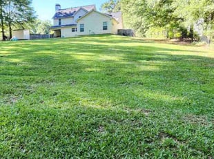 Porscha W.'s grass maintenance service result