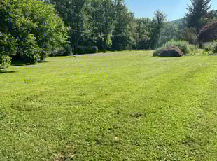 Harol V.'s lawn service service result