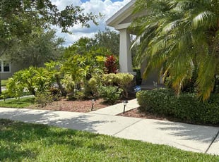 Kenneth L.'s Bush Trimming service result