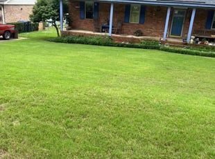 Marie P.'s lawn service service result
