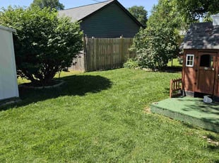 Monique L.'s grass maintenance service result