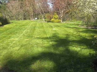 Ryan H.'s turf care service result