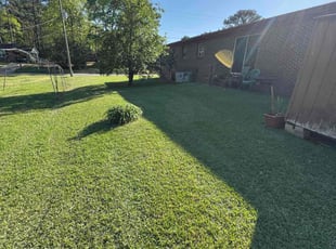 Jenitza G.'s lawn care service result