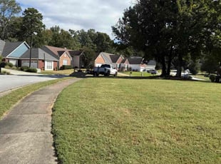 James C.'s grass cutting service result