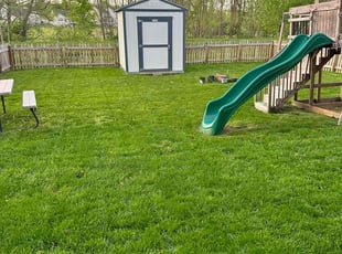 Alexander R.'s turf maintenance service result