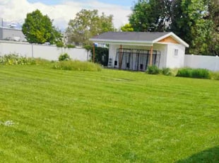 Anthony G.'s turf maintenance service result