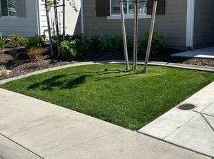 Krista H.'s lawn care services service result