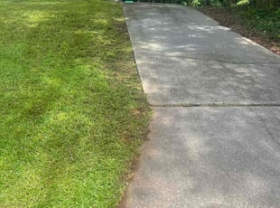 Matthew R.'s turf maintenance service result