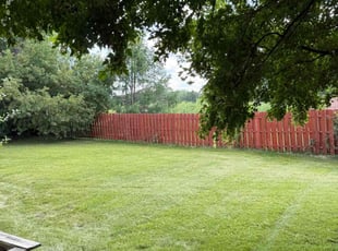 Kaleb M.'s turf care service result