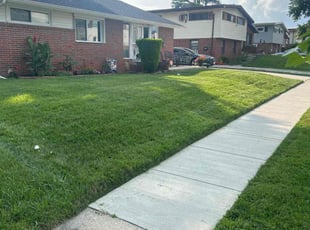 Lawren P.'s lawn care service result