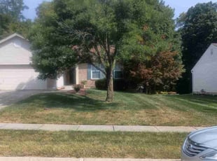Daniel B.'s grass maintenance service result