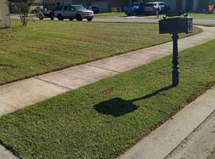 Yahel V.'s lawn care services service result