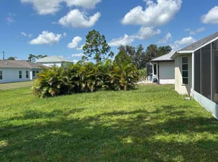 Jordan H.'s grass cutting service result