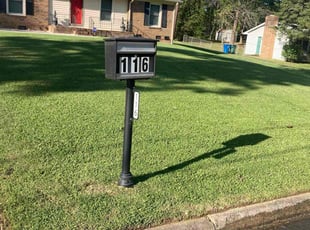 Baili M.'s grass cutting service result