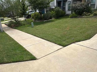 Shawna R.'s grass maintenance service result