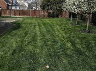 Carl C.'s lawn care service result