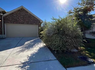 Adriana S.'s turf care service result