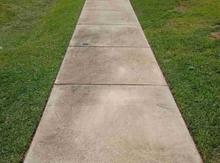 Irene B.'s turf maintenance service result