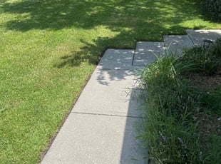 William B.'s turf maintenance service result