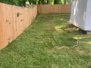 Mike P.'s turf maintenance service result