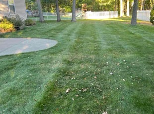 Don P.'s grass maintenance service result
