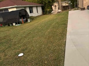 Eileen K.'s lawn care service result