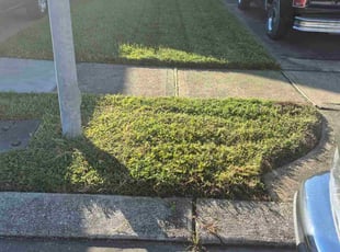 Jill R.'s turf care service result